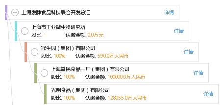 上海发酵食品科技与软件开发的创新融合